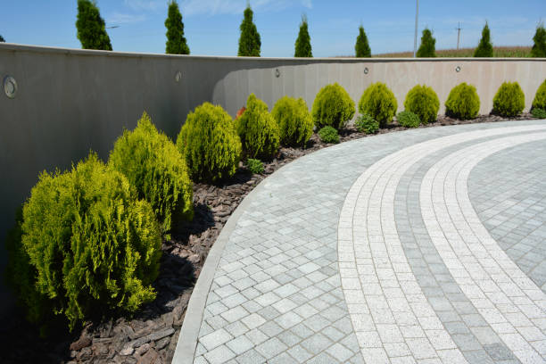 Best Driveway Paving Contractor  in Wolverine Lake, MI